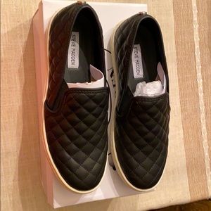 Steve Madden Ecentrcq